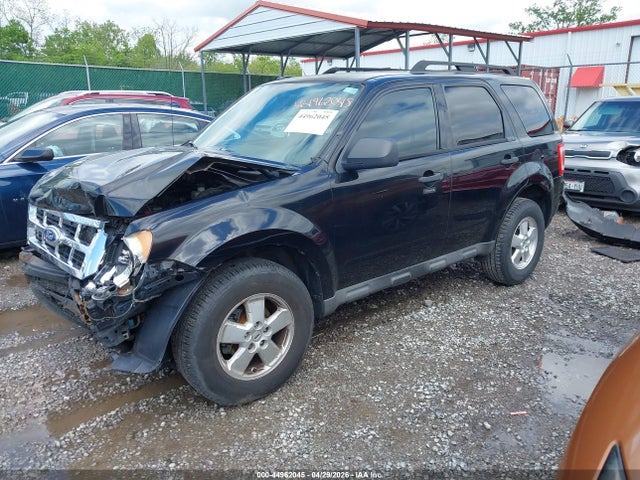 Ford Escape Xlt