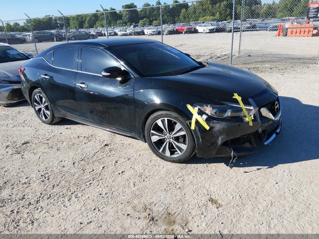 Salvage Nissan Maxima Image