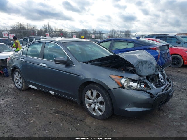 Salvage Honda Accord Image