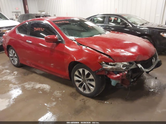 Salvage Honda Accord Image