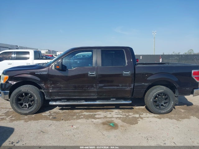 Ford F-150 Xlt