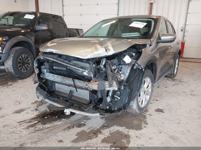 Ford Escape Active