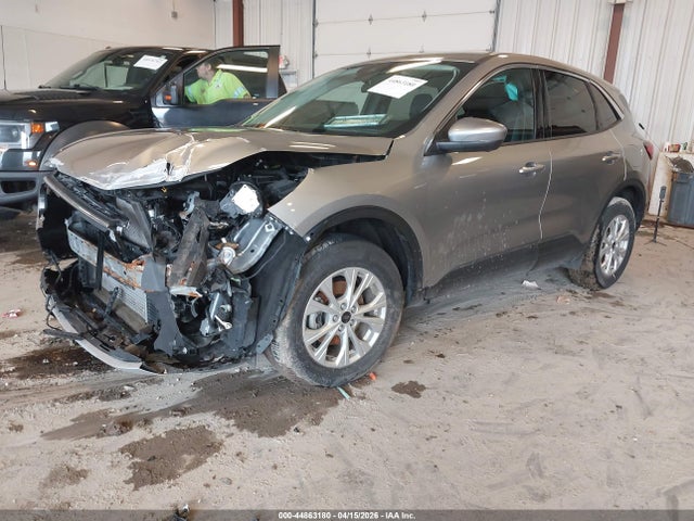 Ford Escape Active