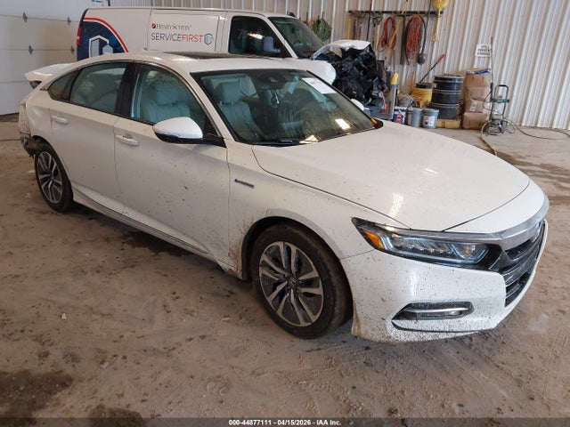 Salvage Honda Accord Image