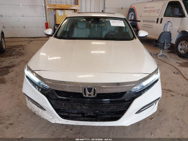 Honda Accord Ex-l
