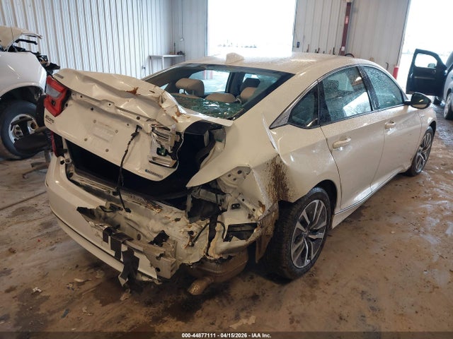 Honda Accord Ex-l