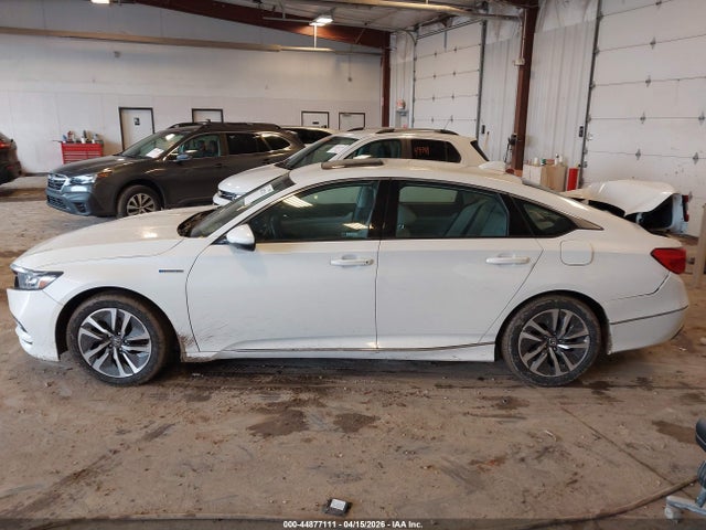 Honda Accord Ex-l