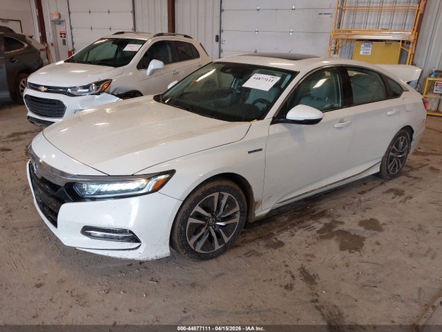 Honda Accord Ex-l