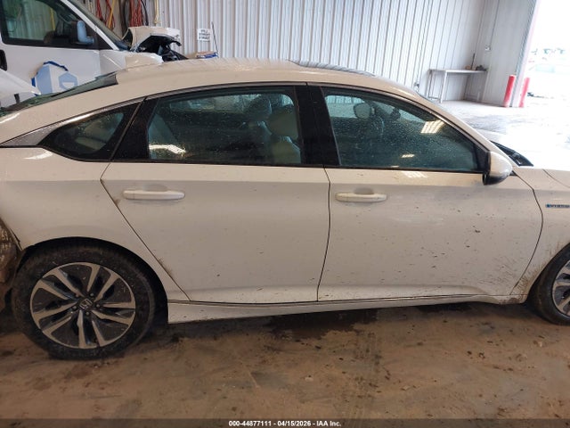 Honda Accord Ex-l