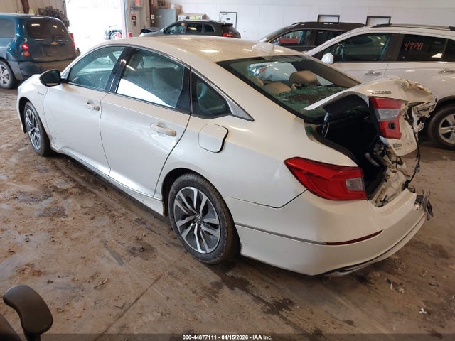 Honda Accord Ex-l