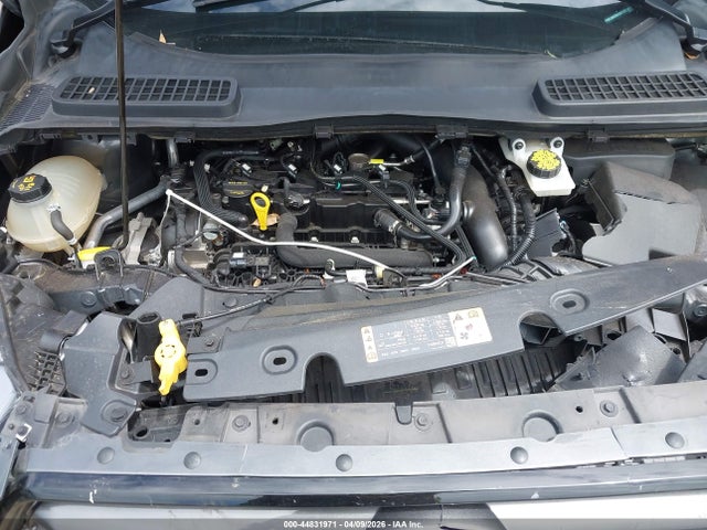 Ford Escape Sel