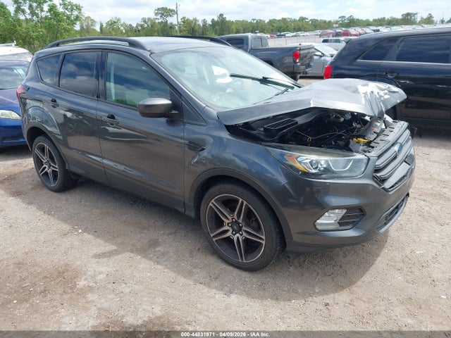 Salvage Ford Escape Image