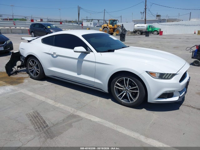 Salvage Ford Mustang Image