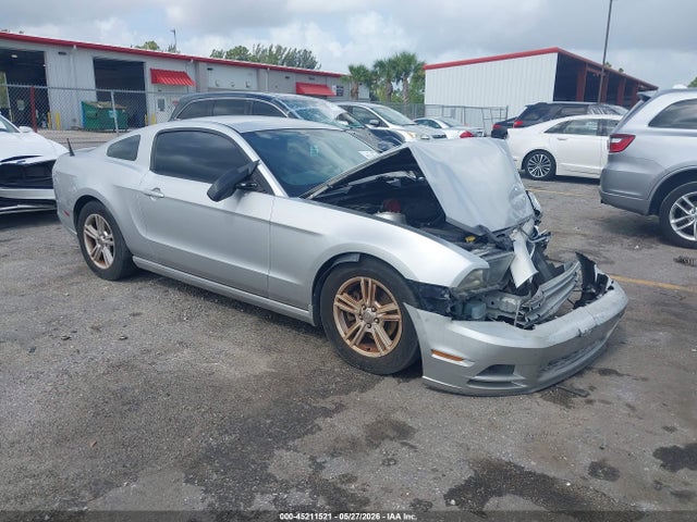 Salvage Ford Mustang Image