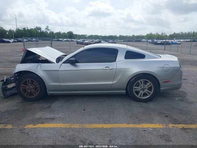 Ford Mustang V6