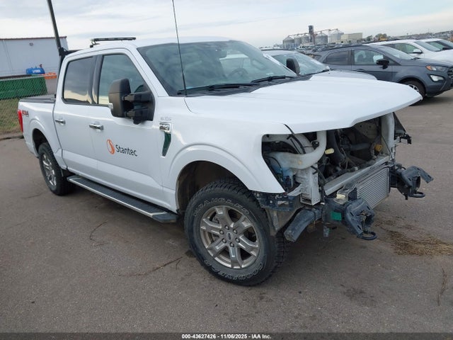 Salvage Ford F-150 Image