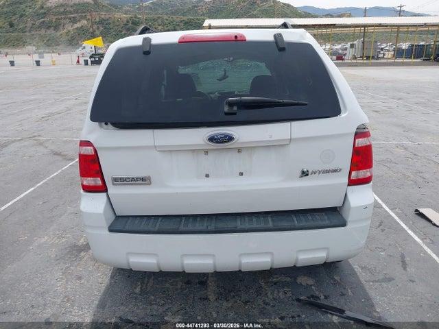 Ford Escape