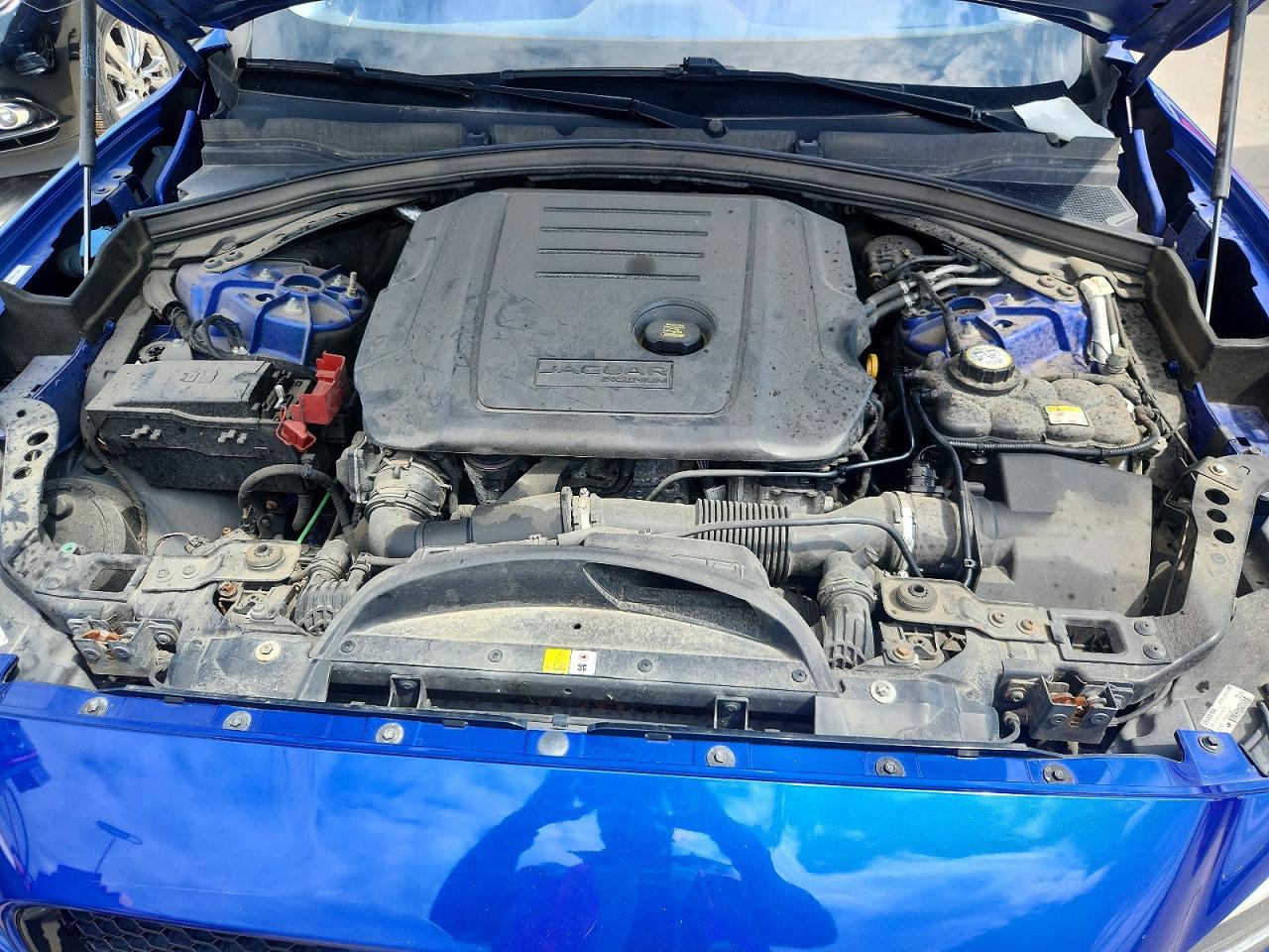Jaguar F-PACE R - Sport