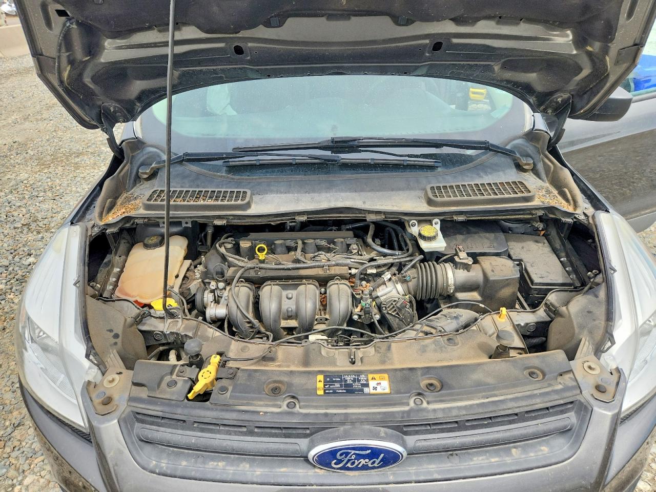 Ford Escape S