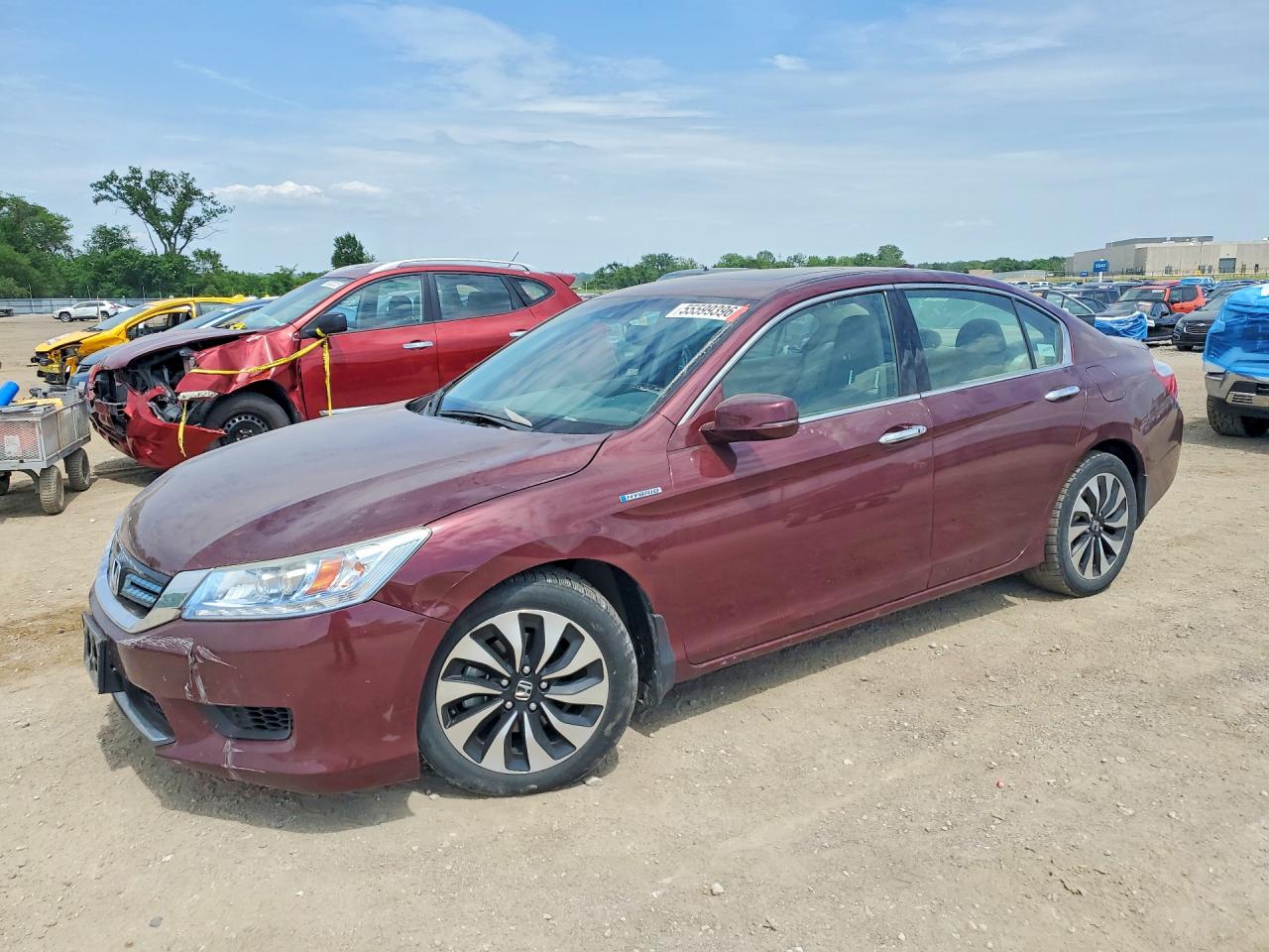 Salvage Honda Accord Image
