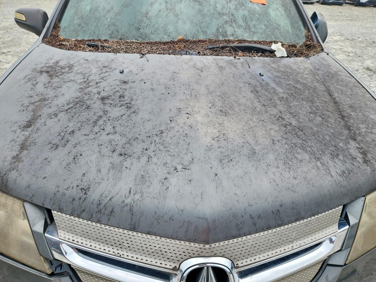 Acura MDX Sport