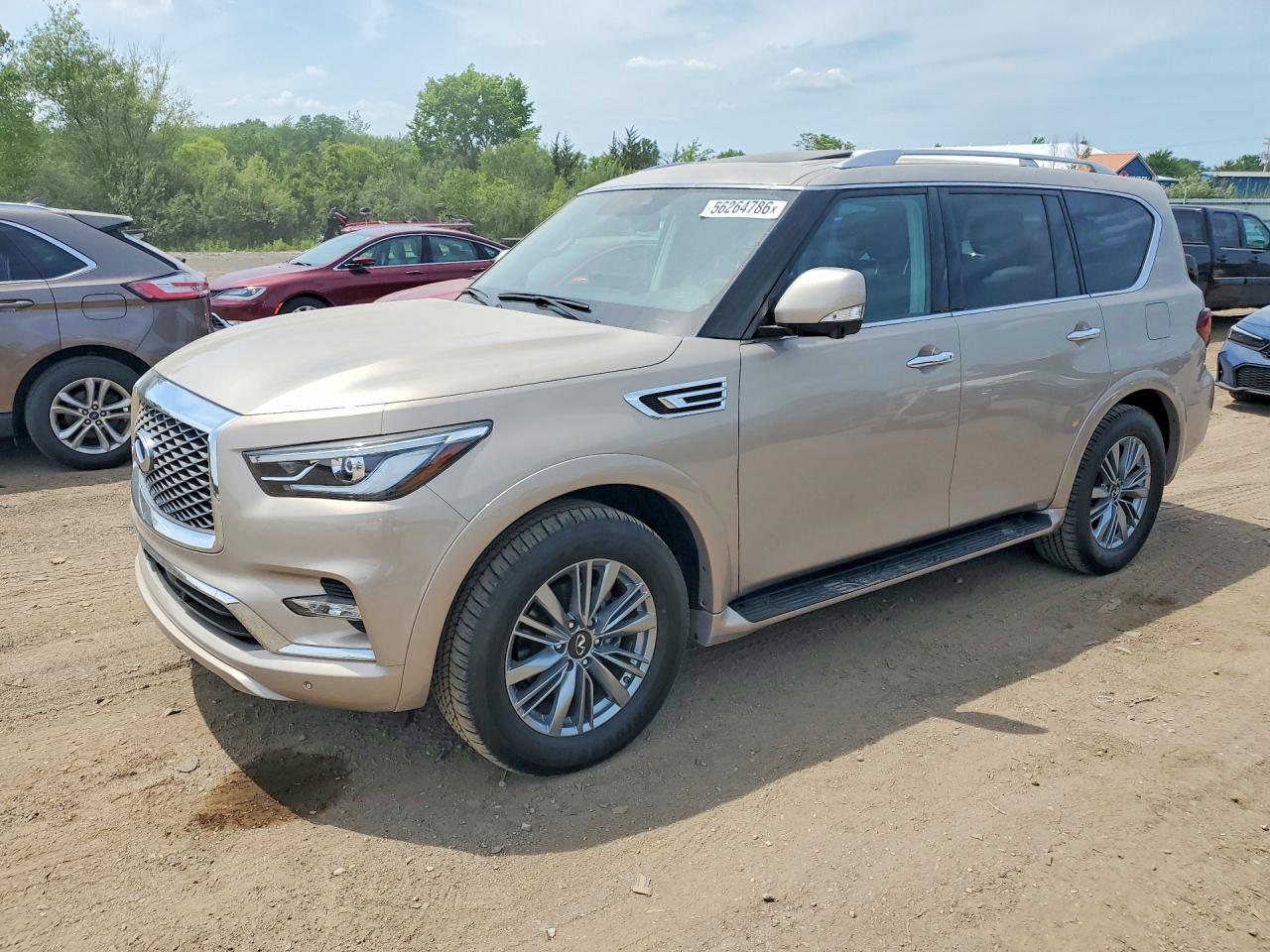 Salvage INFINITI Qx Image