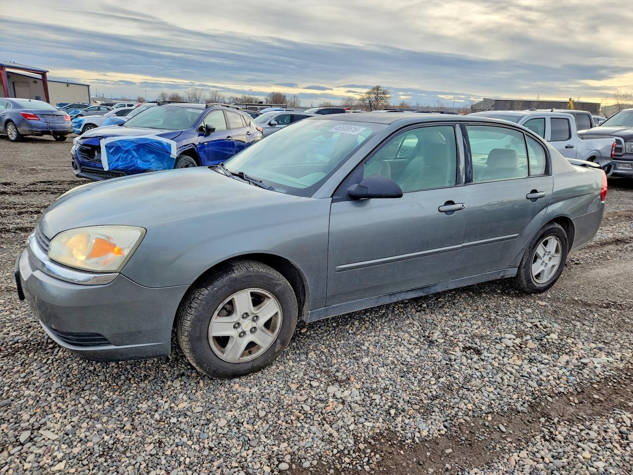 Salvage Chevrolet Malibu Image