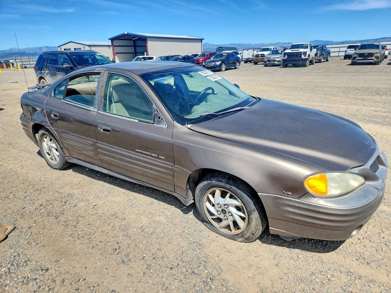 Pontiac Grandam Se1
