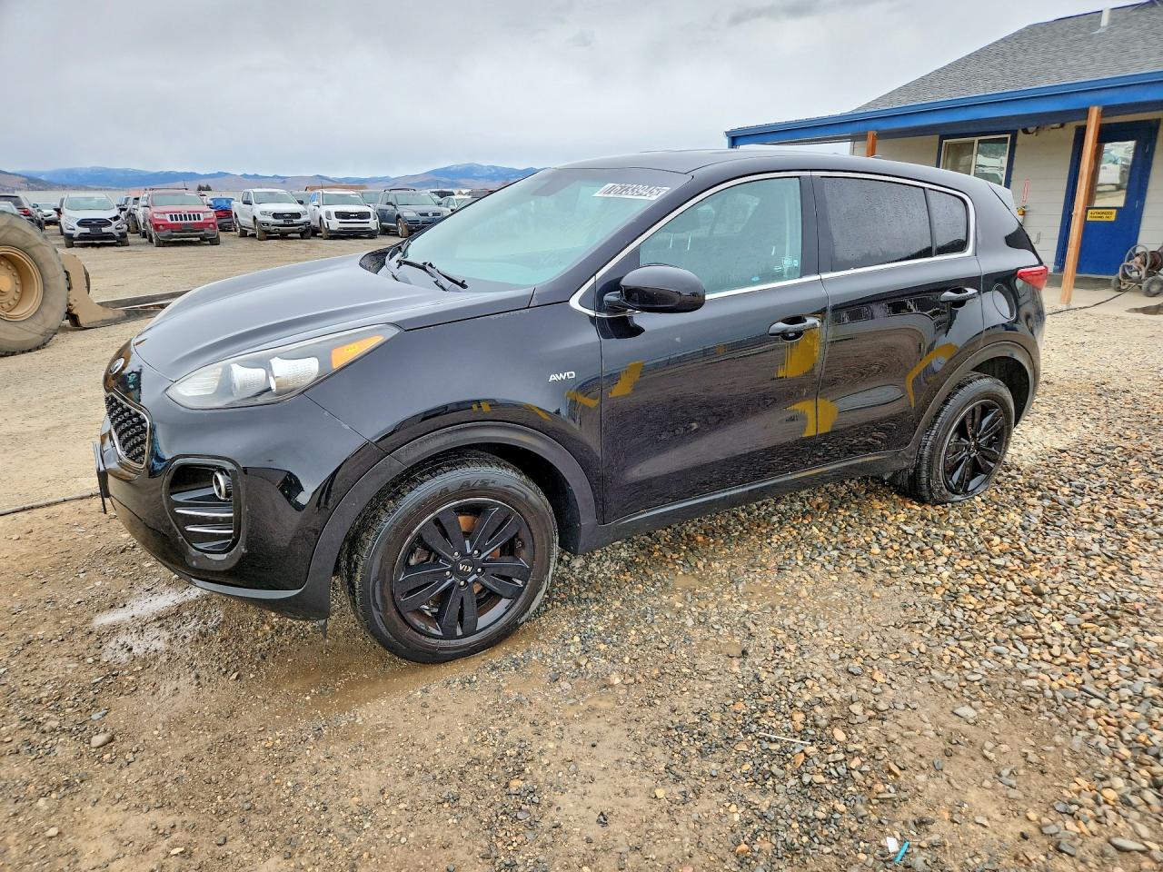 Salvage Kia Sportage Image