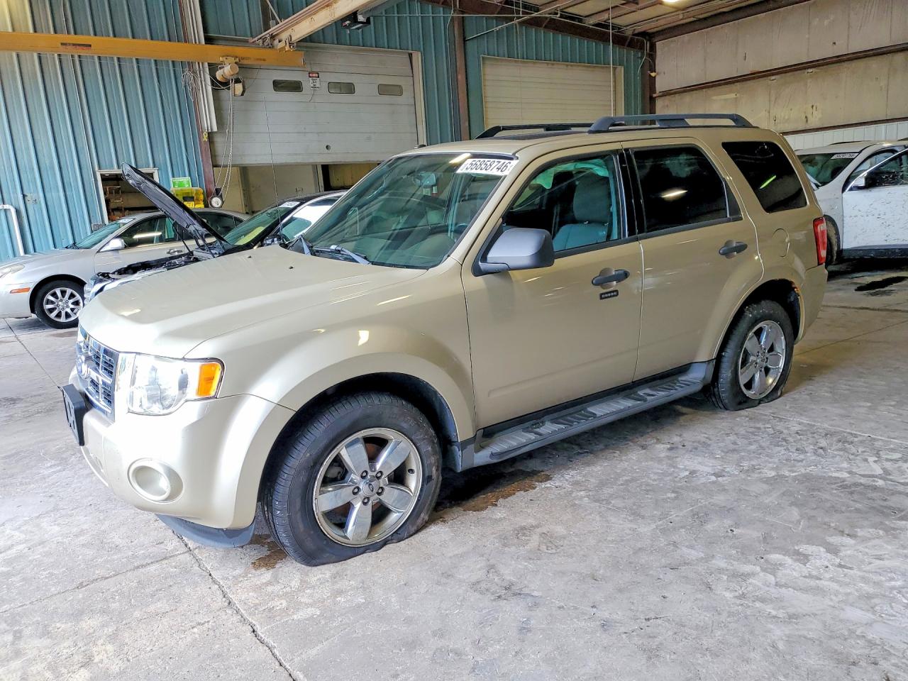 Salvage Ford Escape Image