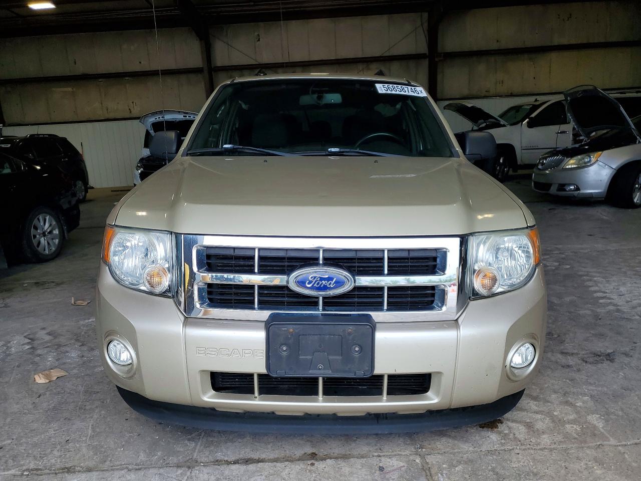 Ford Escape Xlt