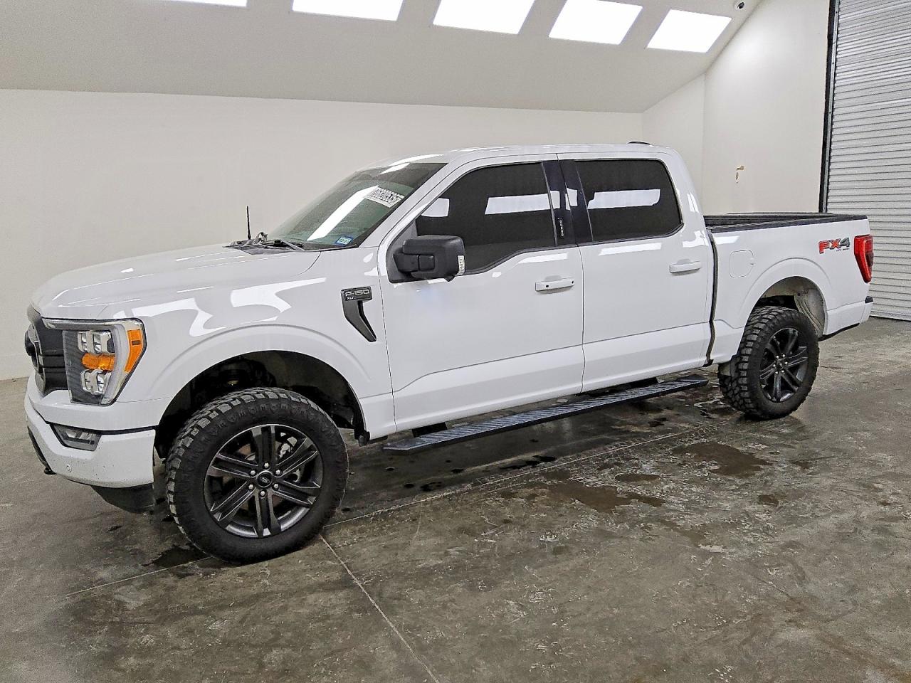 Salvage Ford F-150 Image