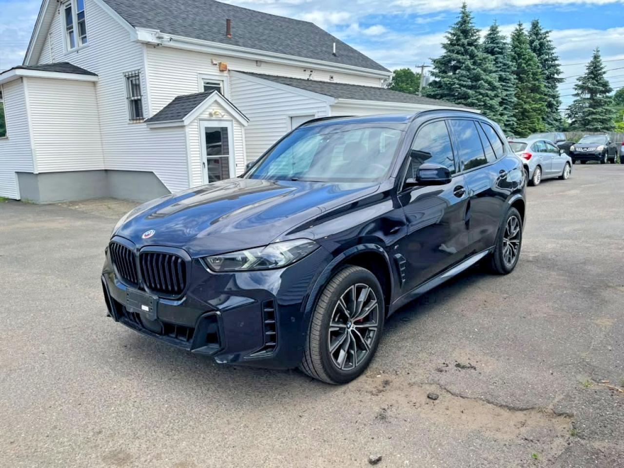 Salvage BMW X Series Image