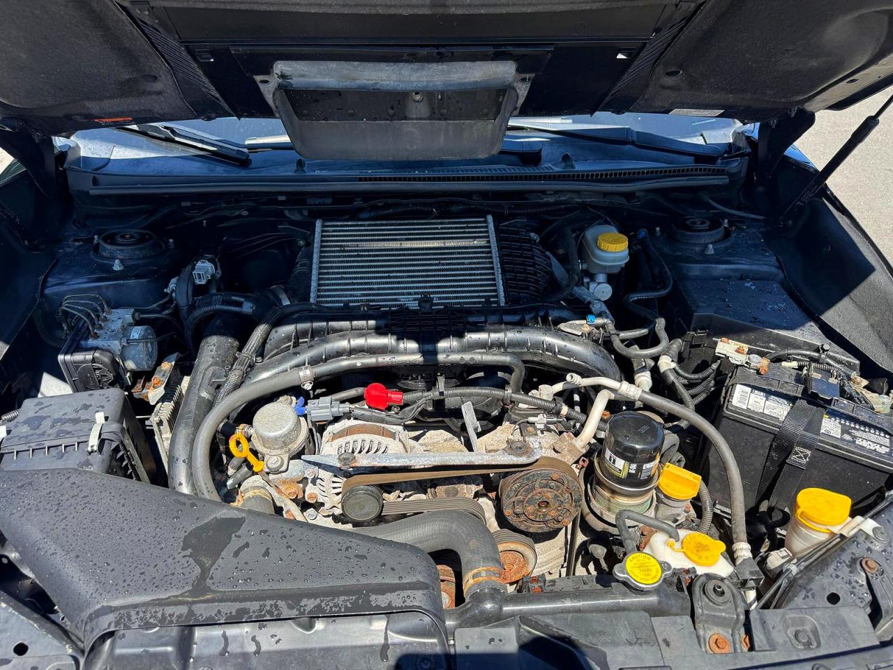 Subaru WRX