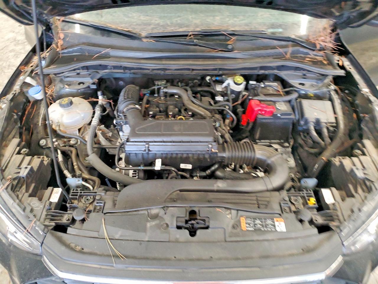 Ford Escape Active