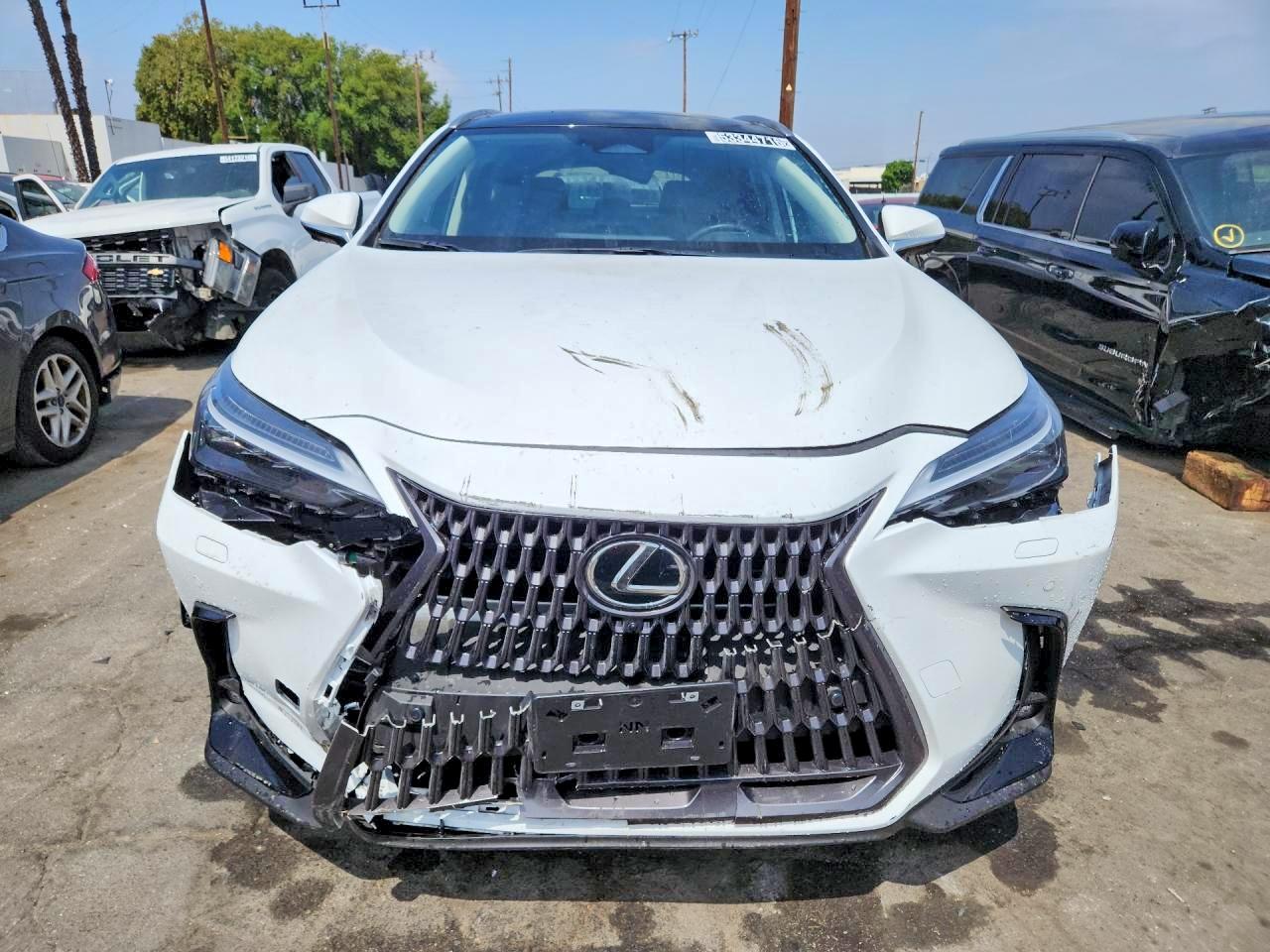 Lexus NX Luxury