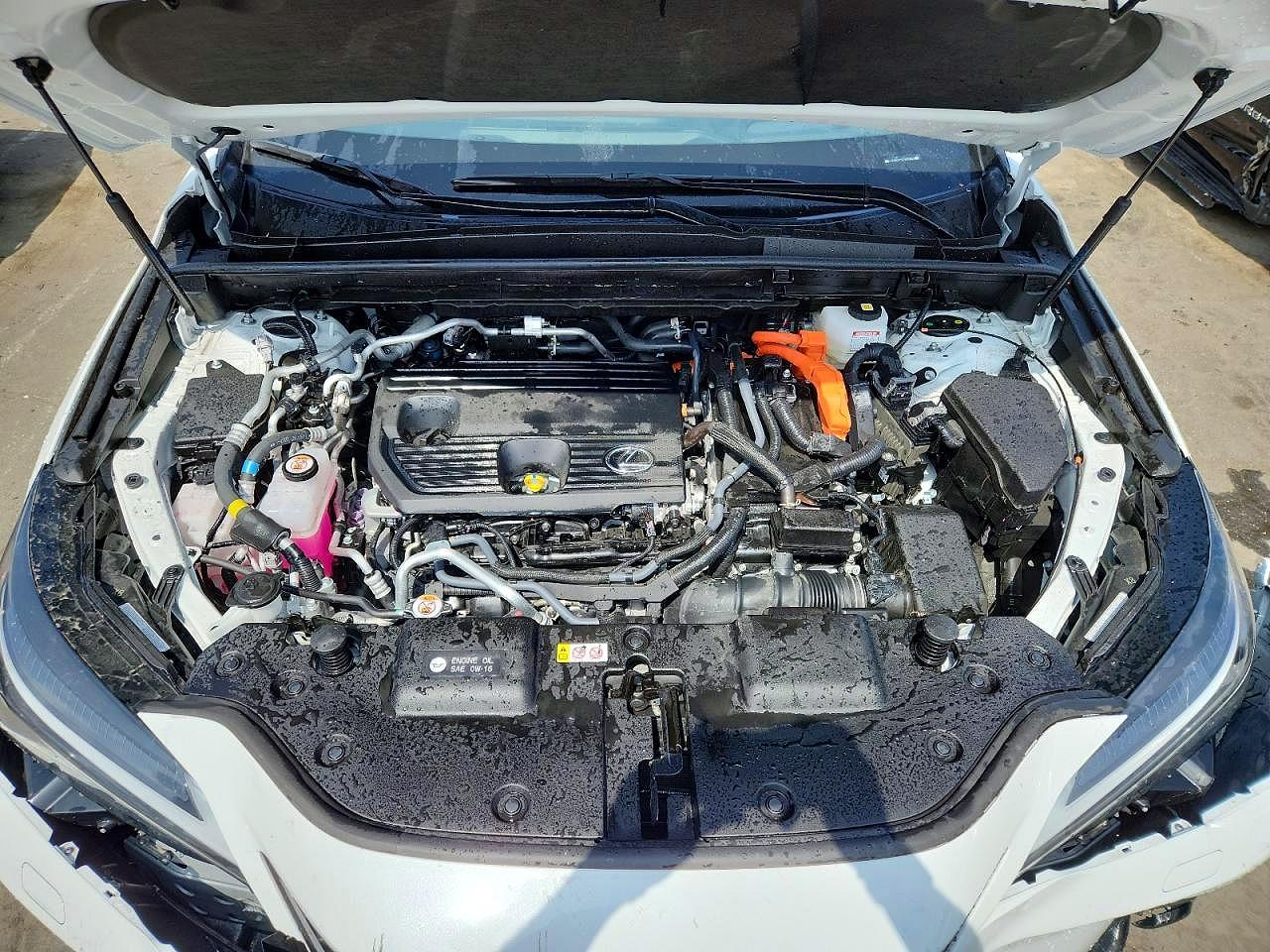 Lexus NX Luxury
