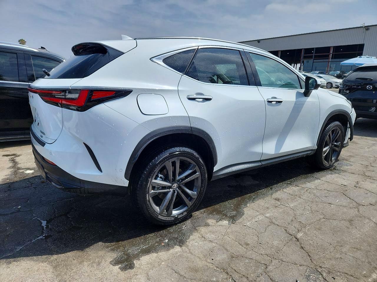 Lexus NX Luxury