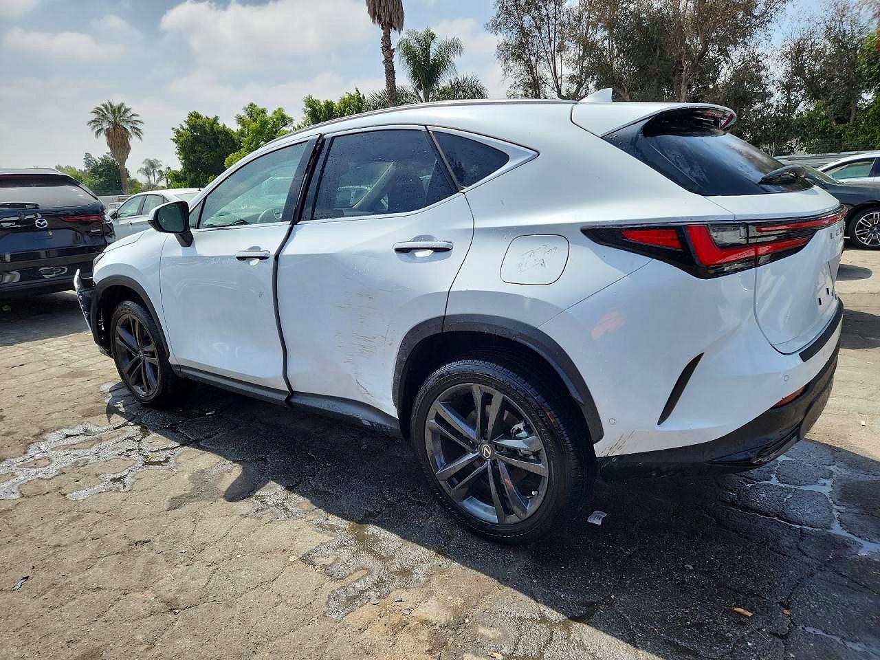 Lexus NX Luxury