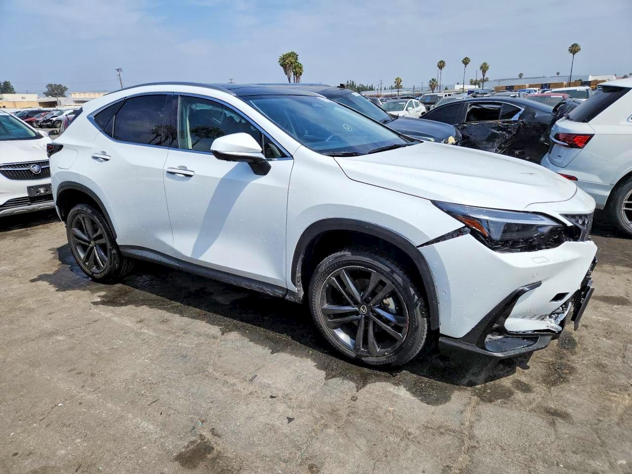 Lexus NX Luxury