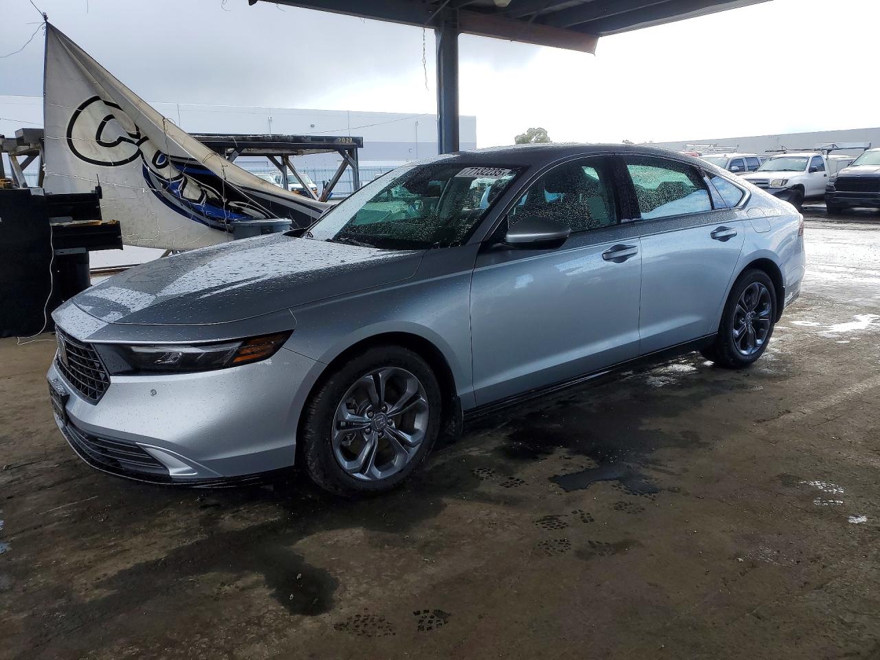 Salvage Honda Accord Image