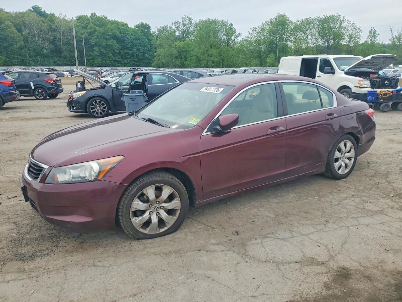 Salvage Honda Accord Image