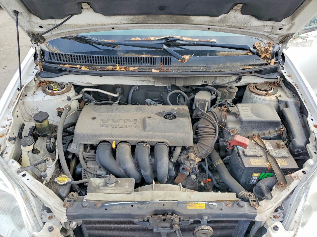 Toyota Corolla Xr