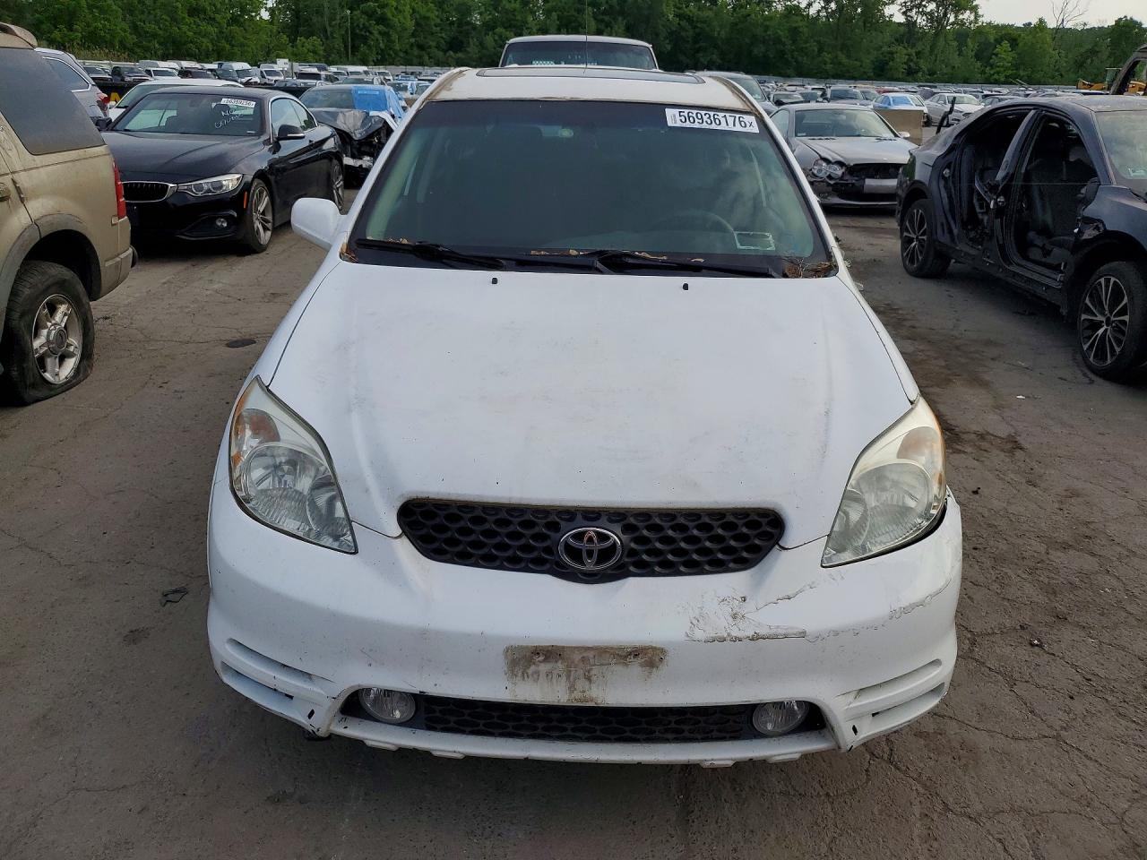 Toyota Corolla Xr