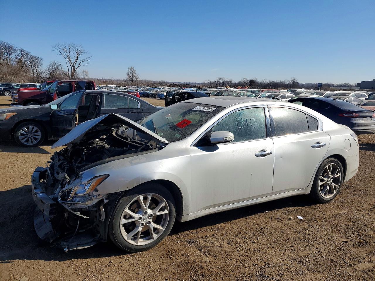 Salvage Nissan Maxima Image