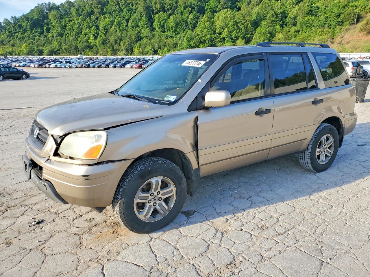 Salvage Honda Pilot Image