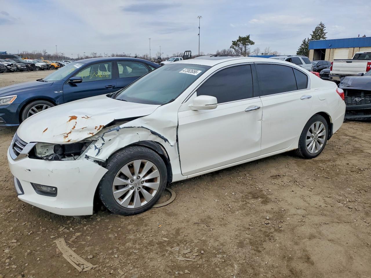 Salvage Honda Accord Image