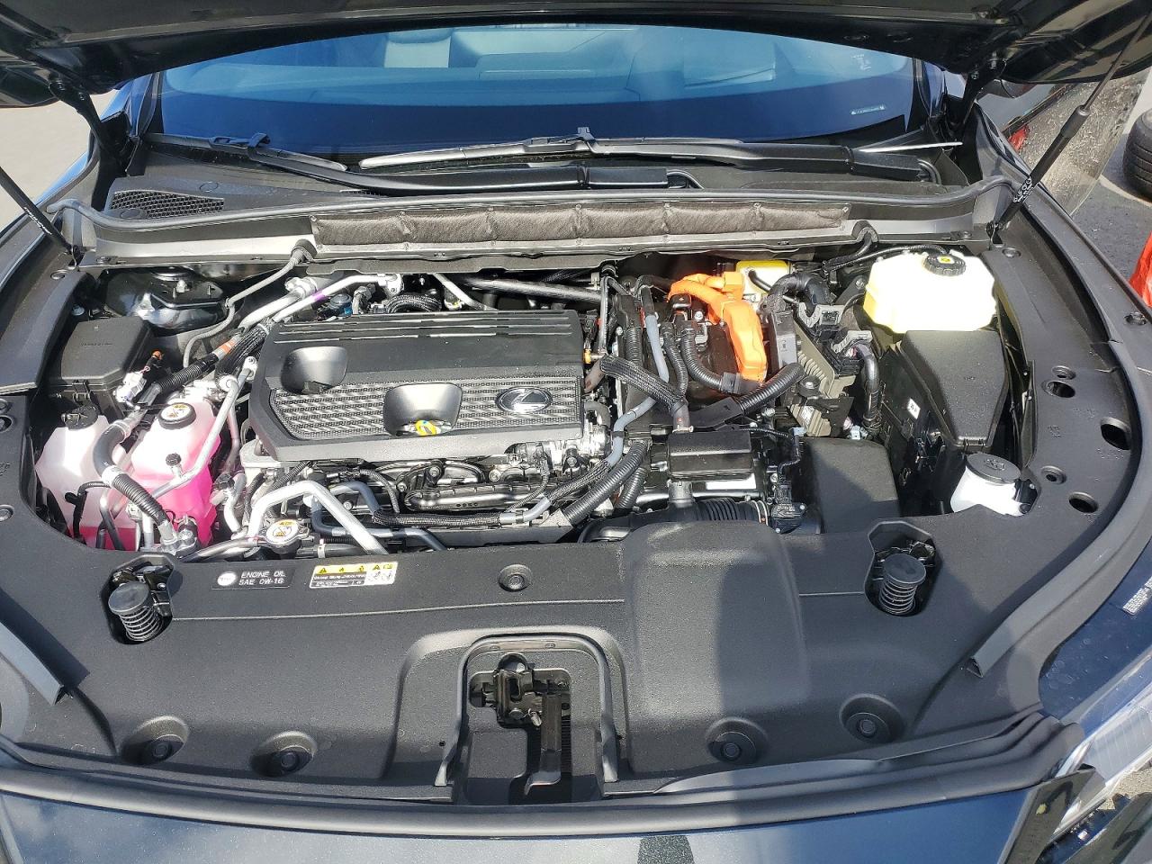 Lexus Other Luxury