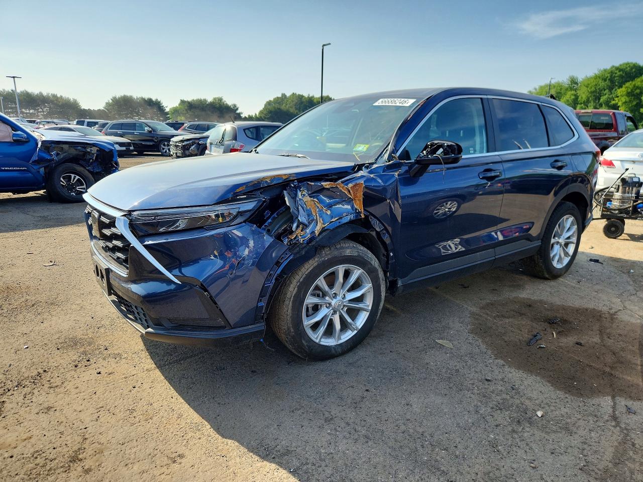 Salvage Honda Crv Image