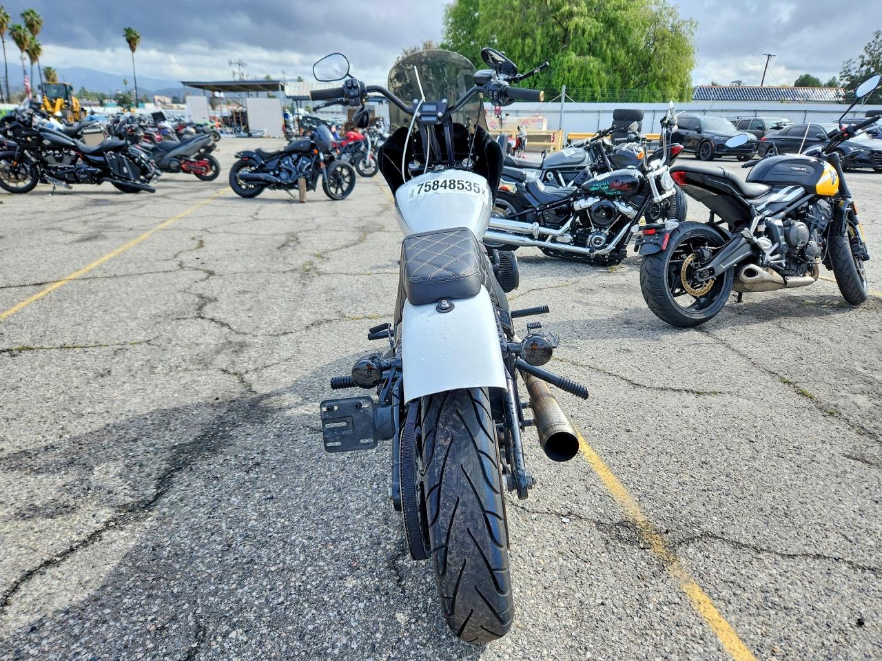 Harley-Davidson Fxbbs
